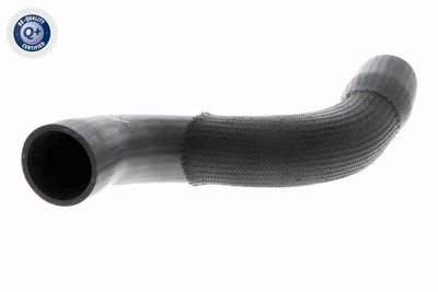 Charge Air Hose VAICO V10-3831