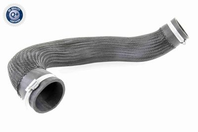 Charge Air Hose VAICO V10-3834