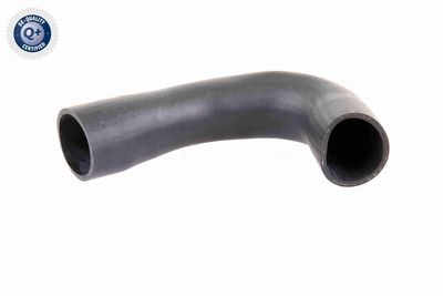 Charge Air Hose VAICO V10-3836