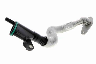 Hose, crankcase ventilation VAICO V10-4852