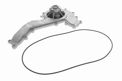Water Pump, engine cooling VAICO V10-50104