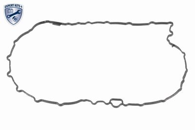 Gasket, automatic transmission oil sump VAICO V10-5396