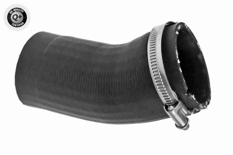 VAICO V10-5527 Charge Air Hose