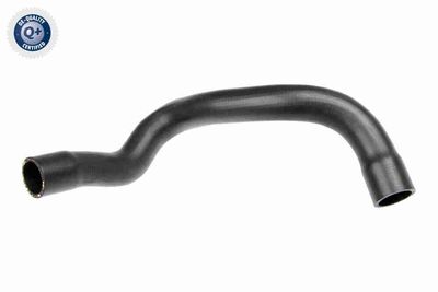 Radiator Hose VAICO V10-5732
