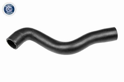 Radiator Hose VAICO V10-5734