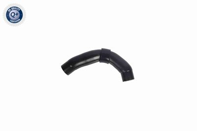 Radiator Hose VAICO V10-8870