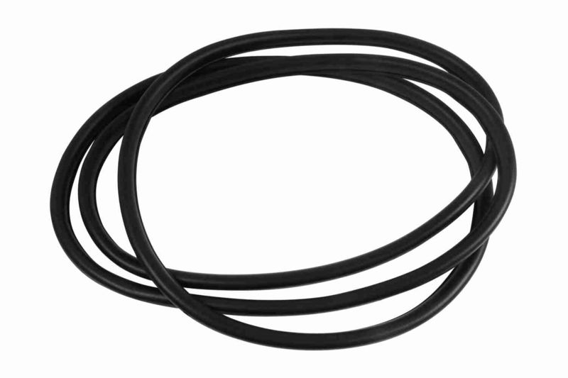 VAICO V20-1202 Seal, door window