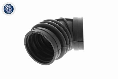 Intake Hose, air filter VAICO V20-1636