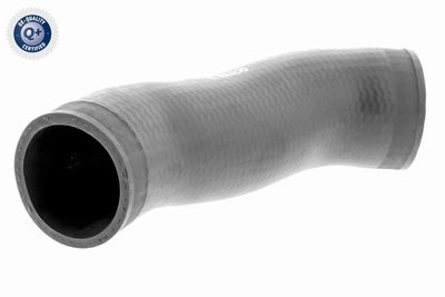 Charge Air Hose VAICO V20-2713