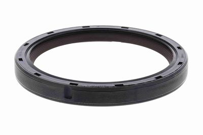 Shaft Seal, differential VAICO V20-3079