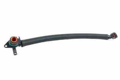 Hose, crankcase ventilation VAICO V20-3252