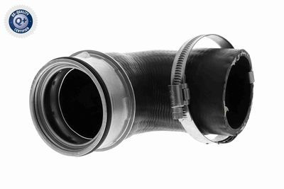 Charge Air Hose VAICO V20-3493