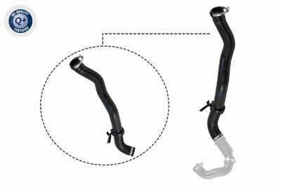 Charge Air Hose VAICO V21-0027