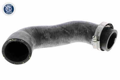 Charge Air Hose VAICO V21-0028