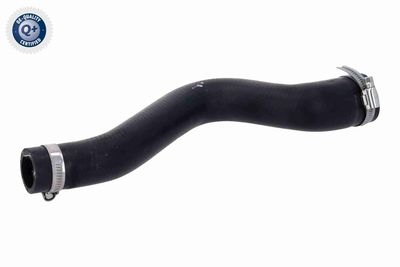Radiator Hose VAICO V22-0742