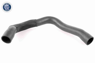 Charge Air Hose VAICO V24-0679