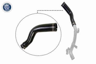 Charge Air Hose VAICO V24-0694