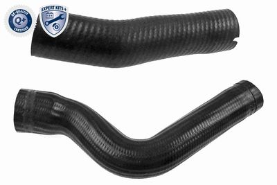 Charge Air Hose VAICO V24-0985