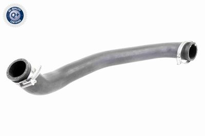 Charge Air Hose VAICO V25-0993