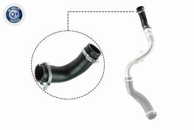 Charge Air Hose VAICO V25-1023