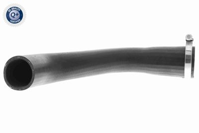 Charge Air Hose VAICO V25-1041