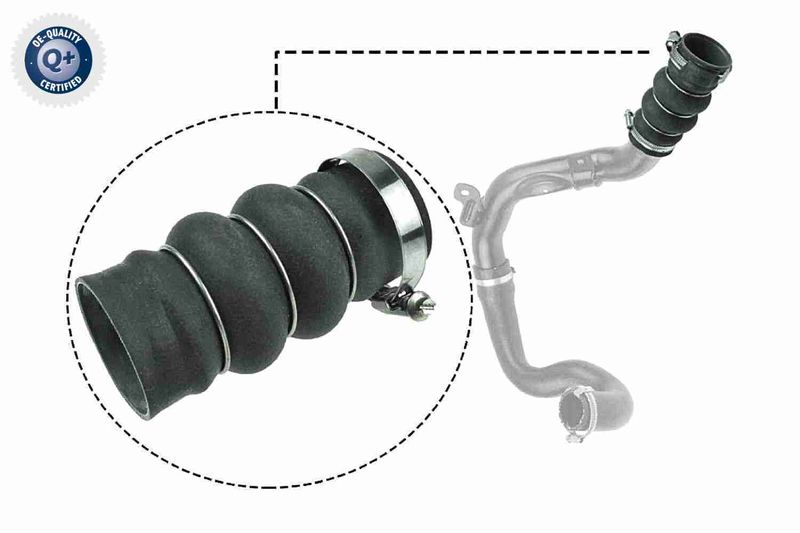 VAICO V25-1052 Charge Air Hose