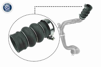Charge Air Hose VAICO V25-1052