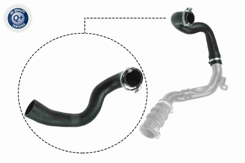 VAICO V25-1053 Charge Air Hose