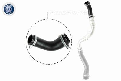 Charge Air Hose VAICO V25-1487