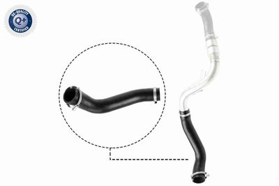 Charge Air Hose VAICO V25-1488