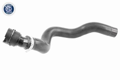 Radiator Hose VAICO V25-1503
