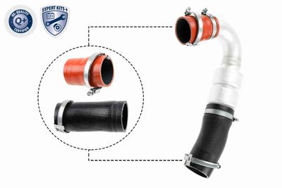 Charge Air Hose VAICO V25-1920
