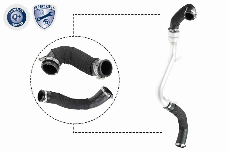 VAICO V25-1922 Charge Air Hose