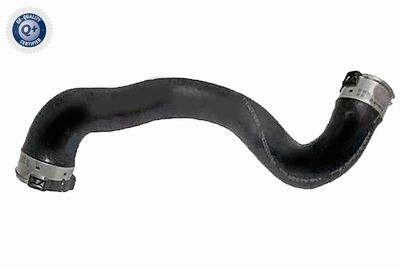 Charge Air Hose VAICO V30-1067