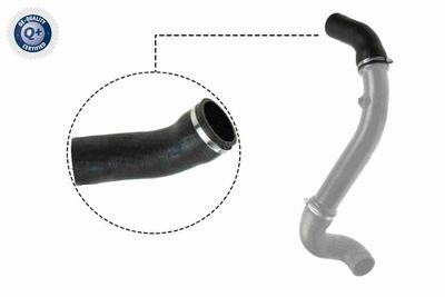 Charge Air Hose VAICO V30-2717