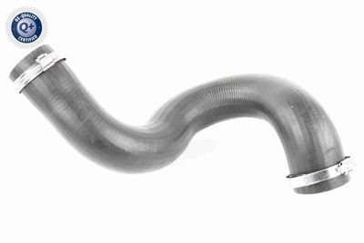 Charge Air Hose VAICO V42-0590
