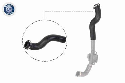 Charge Air Hose VAICO V46-0830