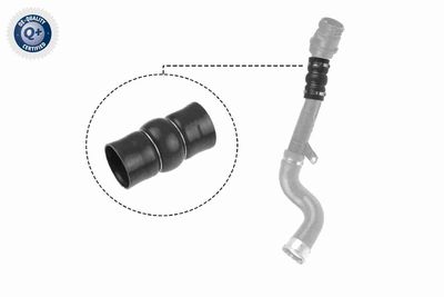 Charge Air Hose VAICO V46-0831