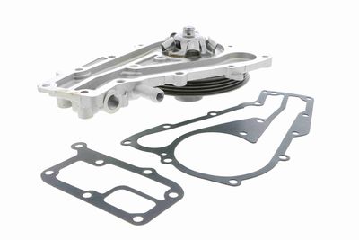 Water Pump, engine cooling VAICO V46-50014