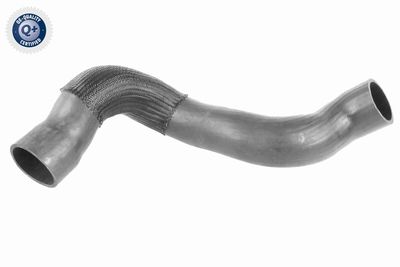 Charge Air Hose VAICO V95-0370