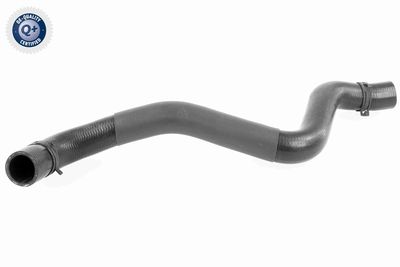 Radiator Hose VAICO V95-0397