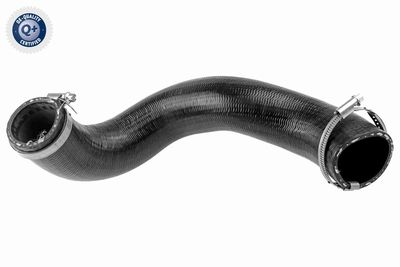 Charge Air Hose VAICO V95-0487