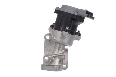 EGR Valve VALEO 700411