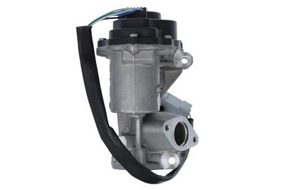 EGR Valve VALEO 700421