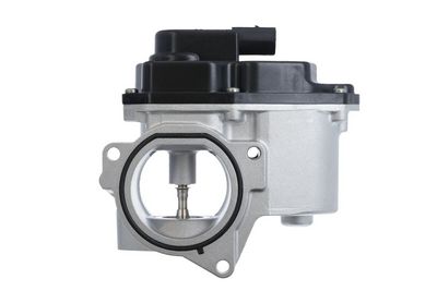 EGR Valve VALEO 700424