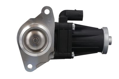EGR Valve VALEO 703209
