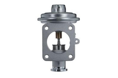 EGR Valve VALEO 703233