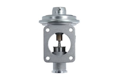 EGR Valve VALEO 703239