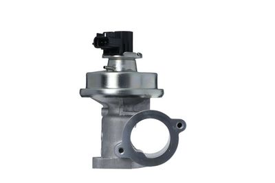 EGR Valve VALEO 703256