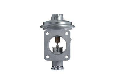 EGR Valve VALEO 703269